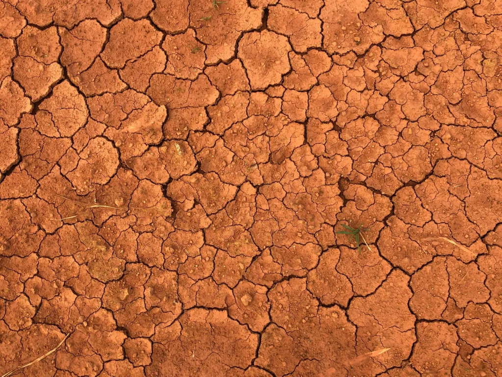 Zodiac element for horoscope today