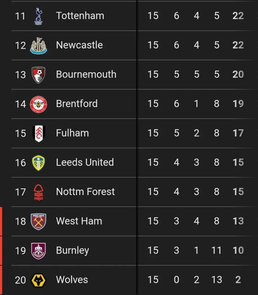 Bottom half Premier League table